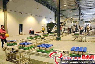 河北光明食品集團臨西縣食用菌工廠化建設(shè)項目圓滿竣工，助力現(xiàn)代農(nóng)業(yè)發(fā)展