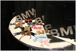 京順寶BMW 3系麗人節主題活動圓滿落幕，以“悅己”之姿，馭風而行
